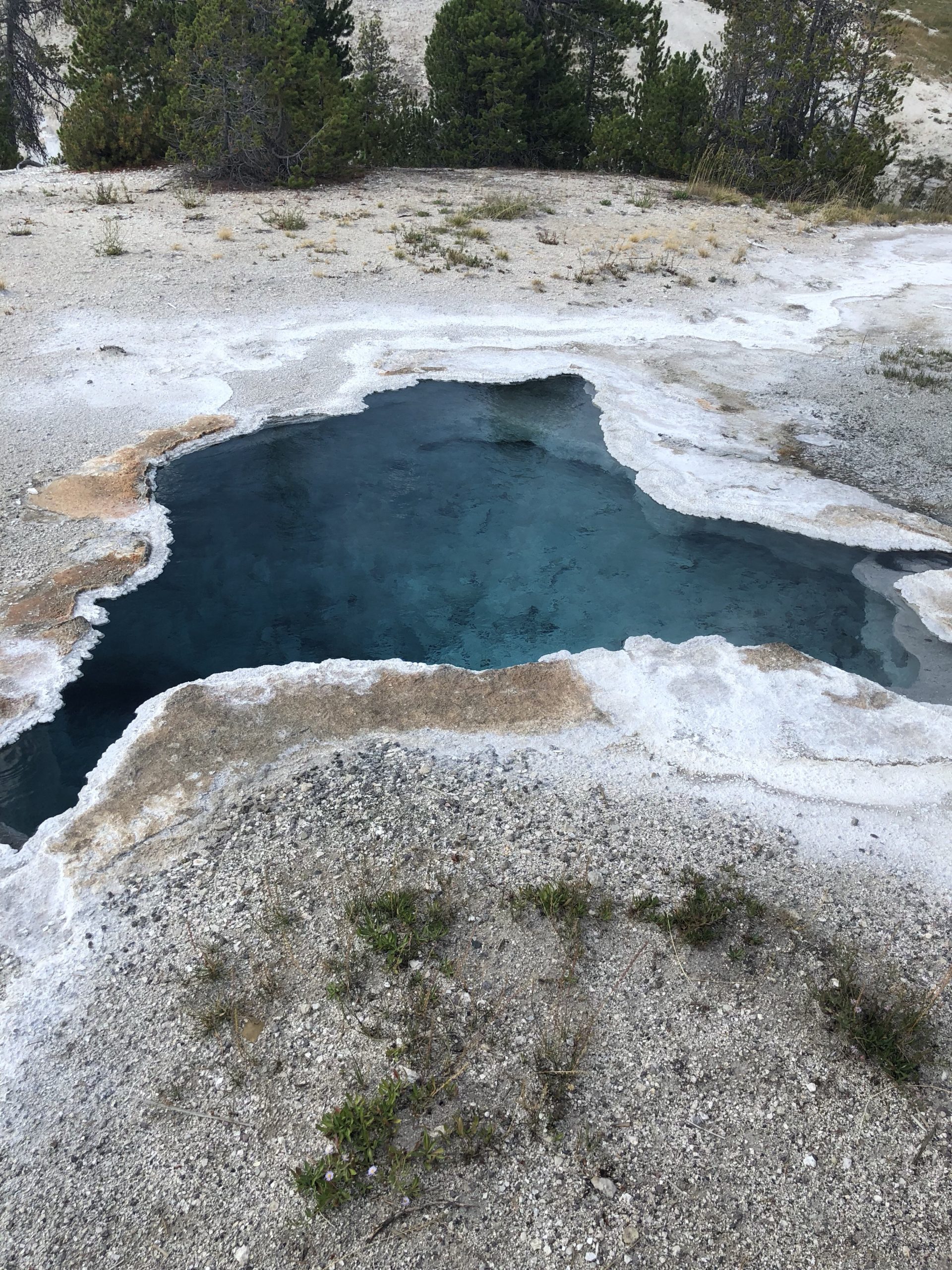 Homemade Pumpkin Spice Latte