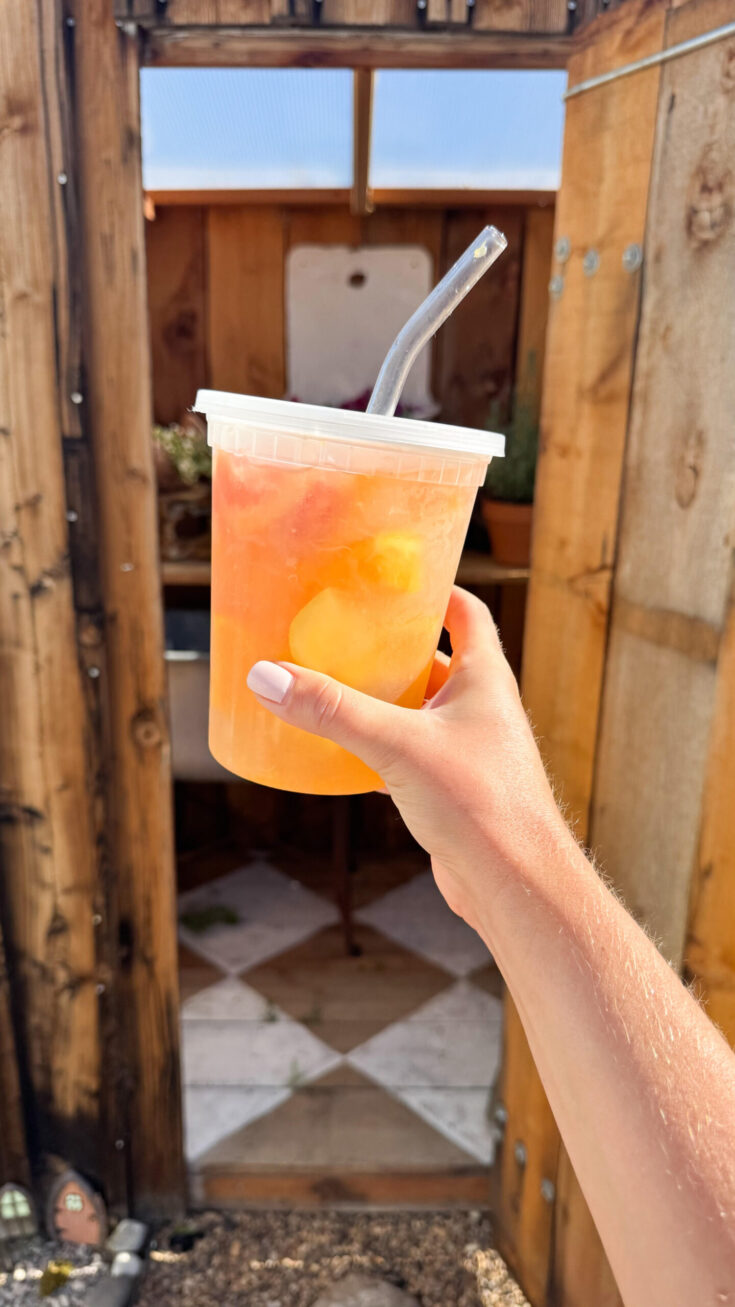 Citrus Coconut Refresher