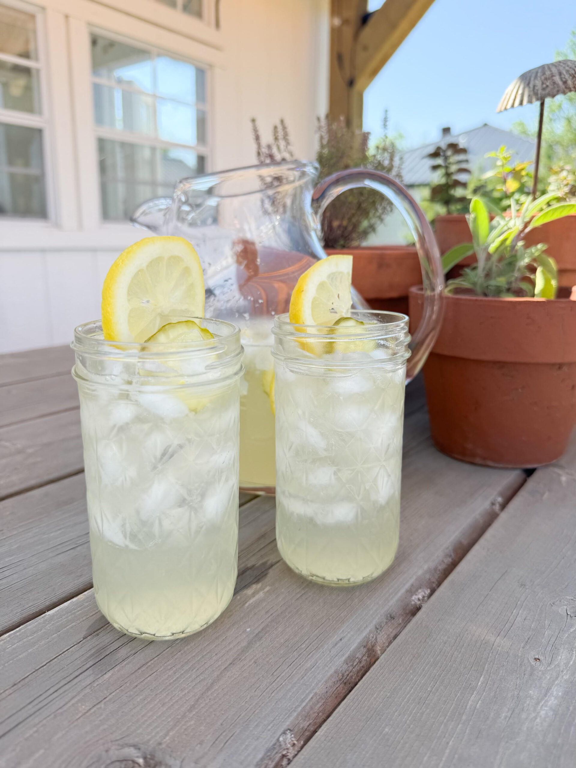 Refreshingly Tangy Pickle Lemonade Recipe