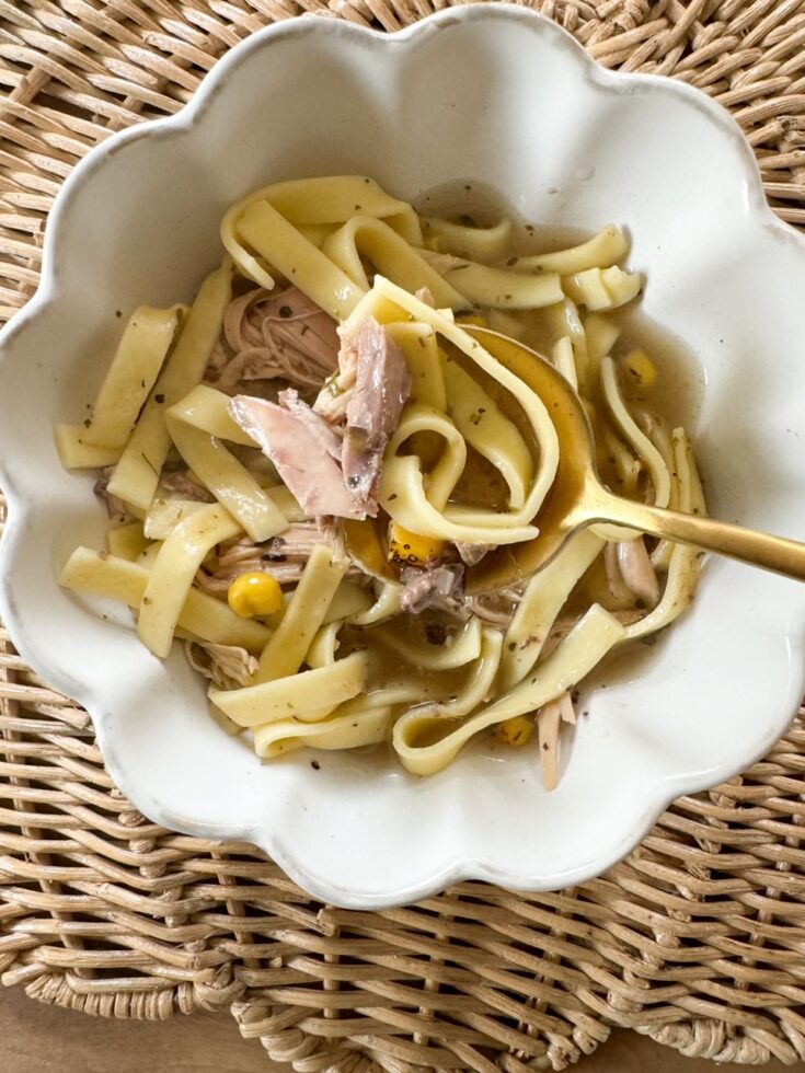 Hearty Chicken Noodle Soup