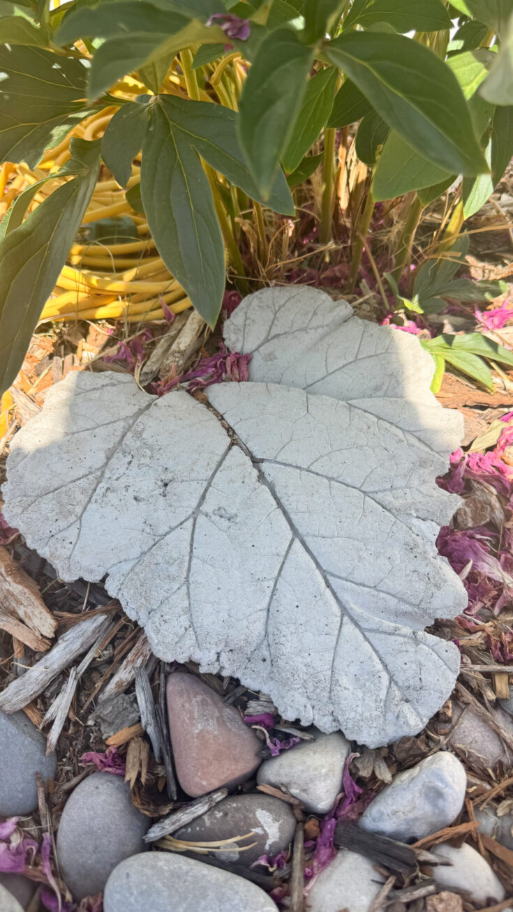 DIY Concrete Rhubarb Leaf