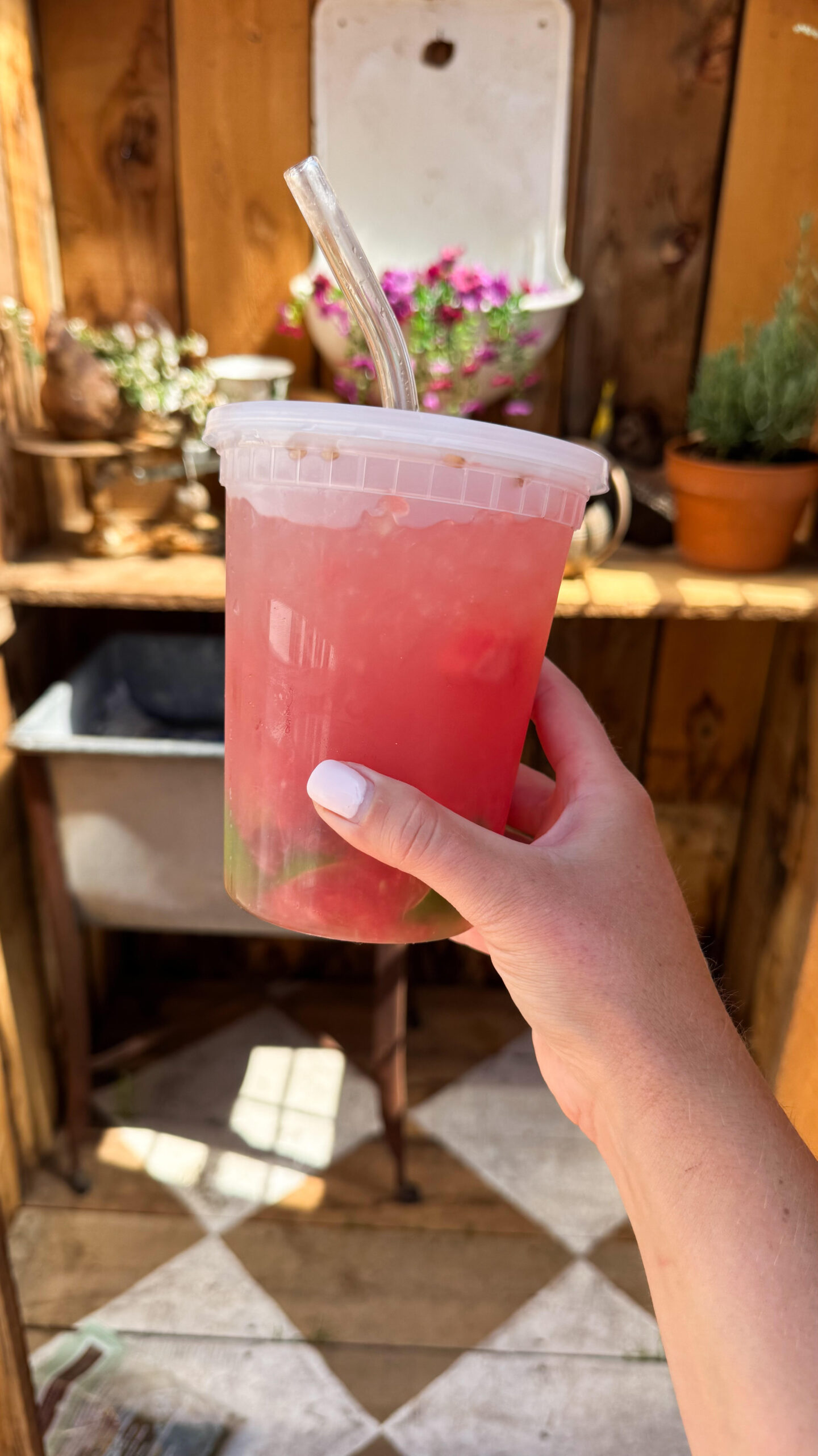 Watermelon Lime Refresher