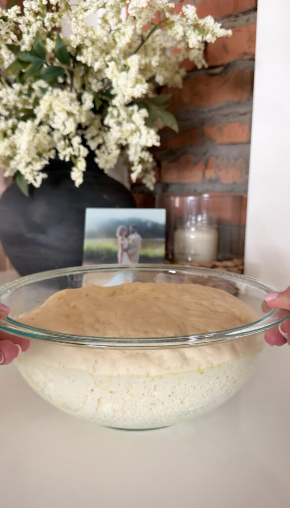 dough in bowl after rising.