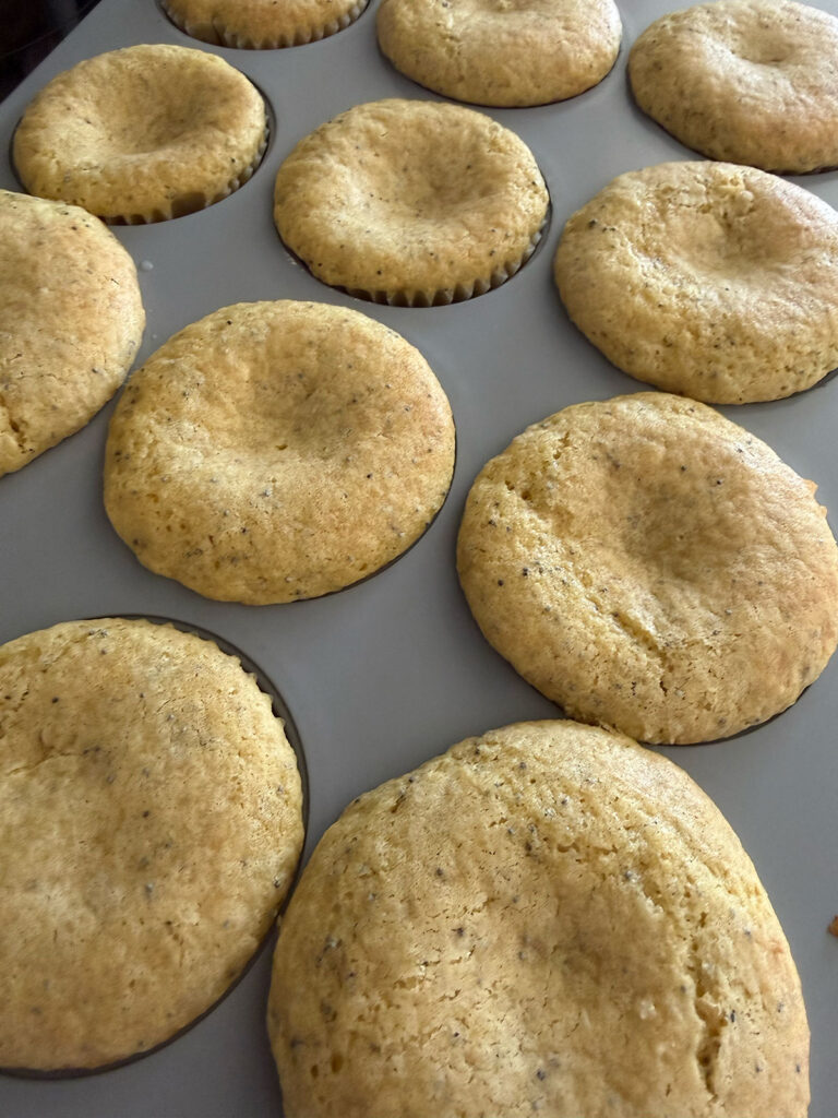 lemon poppyseed cupcakes baked in muffin tin, no icing