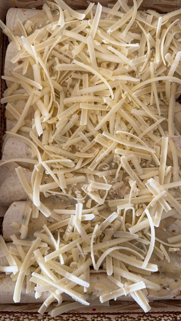A baking dish with white chicken enchiladas assembled and grated cheese on top.