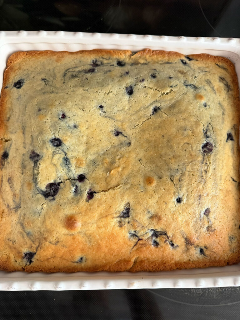 Baked blueberry cake in a baking dish.